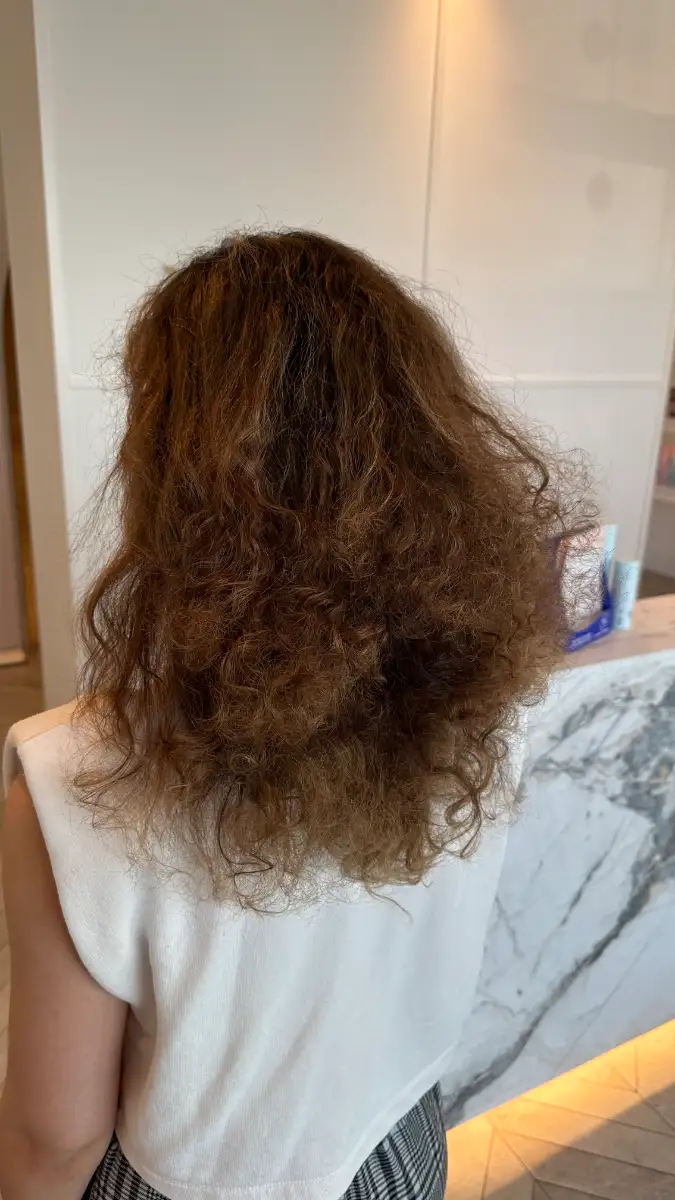 Frizzy, undefined hair before a smoothing treatment