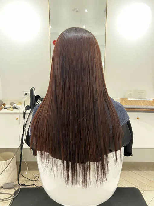 Long, smoothly finished haircut at Wish Dry Bar
